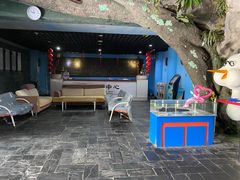 -苏州海洋馆