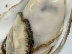 -土蚝·高压锅生蚝(百姓美食街店)