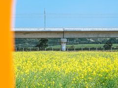 -光明小镇欢乐田园