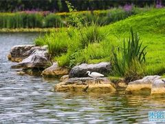 -长江路历史文化街区