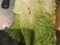 -牛New寿喜烧(中山公园龙之梦店)