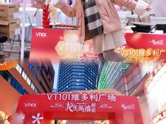 -VT101维多利广场