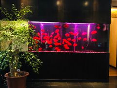 -大唐盲人按摩中心(黄山路店)