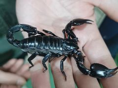 -藦茜花园宠物主题亲子互动体验馆(国顺东路店)
