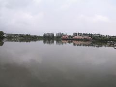 -上海长兴岛郊野公园