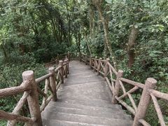 -九鲤湖风景区
