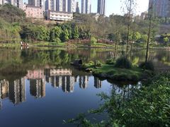 -重庆彩云湖湿地公园