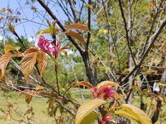 -中国移动南方基地