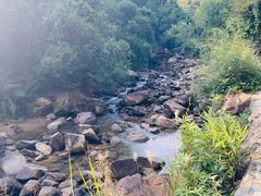 -广州白江湖森林公园