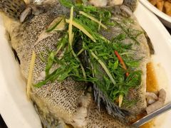-长平肥姐白粥·海鲜打冷