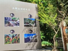 -王顺山国家森林公园