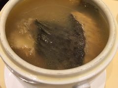 沙参玉竹炖大斑-镛记酒家