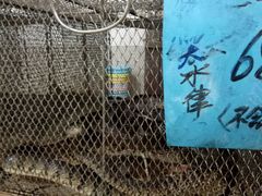 -宏八酒楼(西樵山景区店)