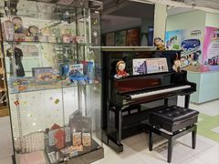 -柏斯琴行(汾阳店)