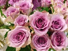 -森野花艺培训·企业团建活动沙龙