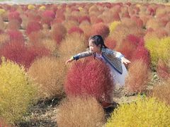 -映月湖中央公园