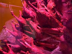 -绸都杨鸭子(总店)