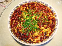 -新概念来凤鱼(璧山店)