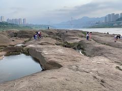 -金海湾滨江公园
