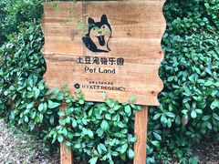 -上海崇明金茂凯悦酒店