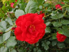 -武清南湖绿博园