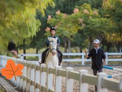 -中加枫华国际学校