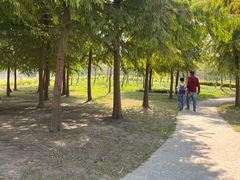 -上海长兴岛郊野公园