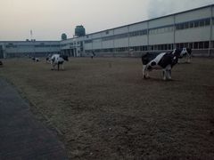 -天津海河华北乳品有限公司