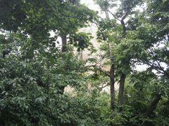 android_upload_pic-三块石国家森林公园