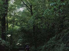 -峙山公园