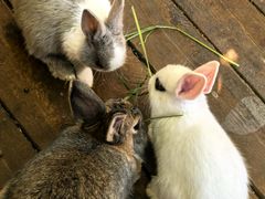 -HERRE·FARM 赫尔露营农场·团建聚会包场