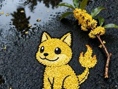 -石家庄市植物园