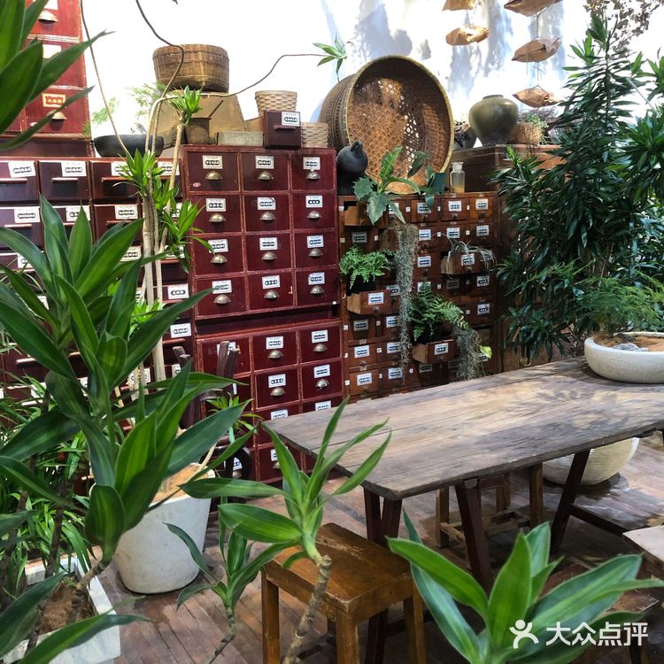 成都｜茂密植被拍照📷不累