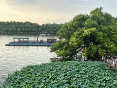 -湖畔居茶楼(湖滨店)