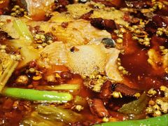 -小饕荟雅安贡椒鱼鲜馆(广福桥店)