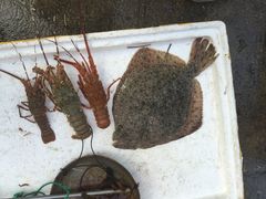 iphone_upload_pic-鸿港海鲜批发市场