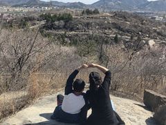 -白水寺森林公园