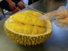 -都念榴莲·城市榴莲