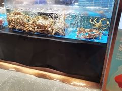 -徐记海鲜·宴会(大唐西市|丰庆店)