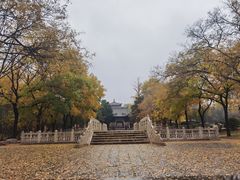 -晋祠公园