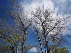 -元大都城垣遗址公园