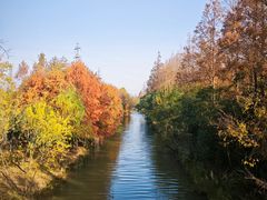 -上海长兴岛郊野公园