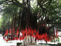 -巨鹏飞梦幻海岸