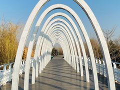 -大兴滨河森林公园