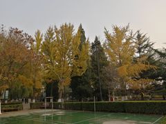 -康庄公园