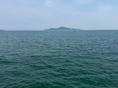 -幸福门