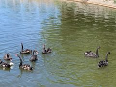 -长春世界雕塑园冰雪艺术天地