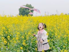 -中国天府农业博览园