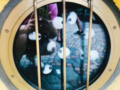 -三鹰之森吉卜力美术馆