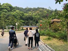 -广州市流溪河国家森林公园